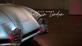 Car Vids: From the Alfa Romeo BAT Trinity Exhibition, London (#alfaromeo #bat 5-7-9)