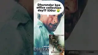 Dhurandhar Movie Box Office Collection Day Wise 📅💥 | Full Report 🎥 #ytshorts #viral #boxoffice