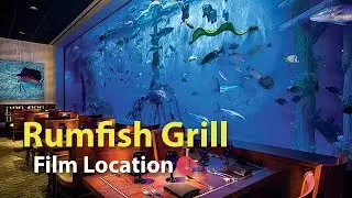Rumfish Grill St. Pete Beach