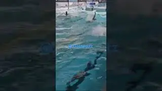 @zionsportzjohn5175 CISF SWIM TEAM#race #cisf #games #swimmingpool #motivation #sports #police