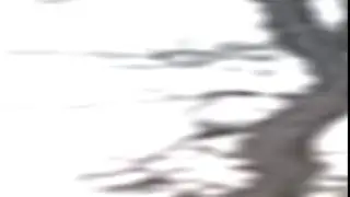 SCARCE IS FAT