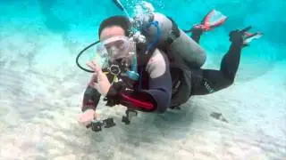 Marsa Shagra 2015