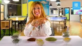 Fertility Tea Video