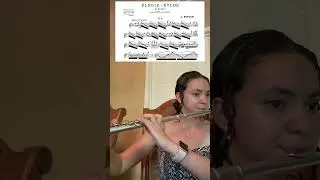 TMEA Etude #1 #flute#tmea#band#flutist