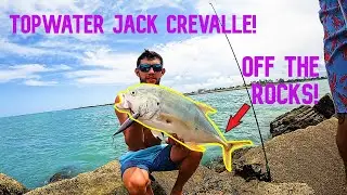 Pitching Off The Fort Pierce Rocks For Some Feisty Jack Crevalle!