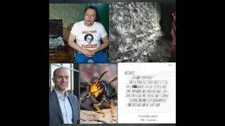 Larry Flynt, Greatest Web Designers, Zippity Sting Sting & Circleville Letters