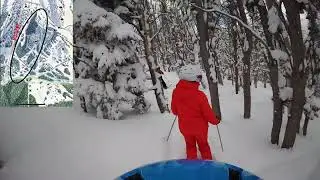 Bavarian Forest at Big Sky (song Camino Solo)