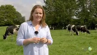 AEI Gwen Meredith Testimonial