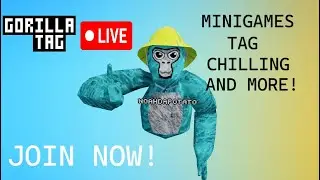 Gorilla Tag with Fans!!! (MINIGAMES AND MORE!)