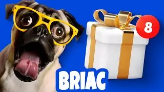 JOYEUX ANNIVERSAIRE BRIAC - Chanson dr&ocirc;le par une meute de chiens d&eacute;jant&eacute;s 🎉
