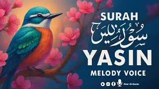 Surah Yaseen (Yasin) سورة يس | Ultimate Healing Quran Will Touch Your Heart | Noor Al-Quran