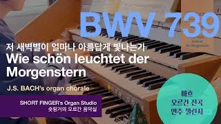 [JS BACH Organ] BWV 739 Wie sch&ouml;n leuchtet der Morgenstern 저 샛별이 얼마나 아름답게 빛나는가 Hauptwerk Ermelo