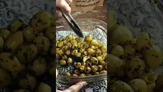 How to Make Marinated Olives FAST & Tasty!