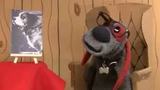 Famous Dogs of History #106 - Barry