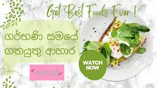 ගර්භණී සමයේදී ආහාරයට ගත යුතු ආහාර/Foods To Eat During The Pregnancy Sinhala