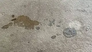 White Crocs is Cleaning Up