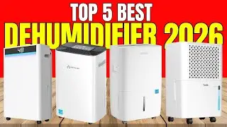 Top 5 Best Dehumidifier 2026 | Best Dehumidifier for Basement & Home