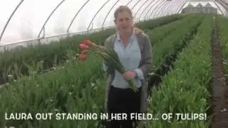 Flowerbud Presents: French Tulips