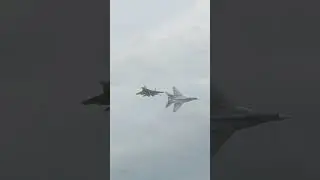 MiG-29 Freewing | CRASH | JET TURBINE RC model #rccrash #freewing #aviationcz
