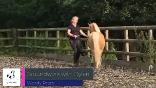 Groundwork with Dylan 2021