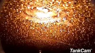 TankCam by Tanknology