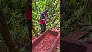 Elaboraci&oacute;n de la canoa para el motor fuera de borda 