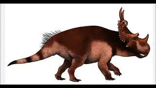 Dinosaurs. Spinops  🦖 🦕