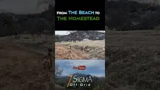 🌊From The Beach 2 The HOMESTEAD  #offgrid #homestead #mountainlife  #california #beach #snow