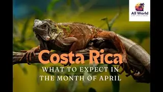 Costa Rica in April - What is it Like Visiting Costa Rica in April? Costa Rica Weather Today