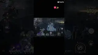 600k Damage!! Bailu Hidden Meta Chara??