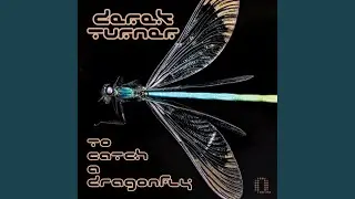 To Catch A Dragonfly (Original Mix)