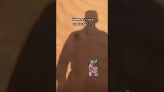 Don&rsquo;t go to the desert #spider #memes #aot ￼