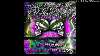 Take Back The Roman Empire - Entschuldigen Sie Mein Deathinteresse (Full Album)