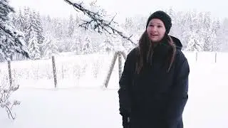 Meža nozares gada balvas „Zelta čiekurs