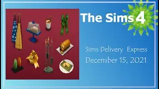 Sims 4 - Delivery Express
