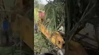Low-maintenance drum wood chipper machine#BiomassFuel #WoodRecycling #ForestryEquipment