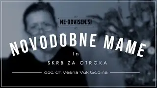 Vesna Vuk Godina - Novodobne mame