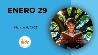 Mc 4, 21-25 - Evangelio del d&iacute;a - Padre Luis Zazano