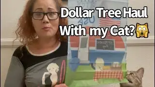 ‼️NEW‼️DOLLAR TREE HAUL| INCREDIBLE NEW FINDS| JUNE 2021