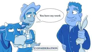 Contract Law 101: Understanding Your Rights