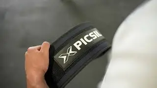 Picsil belt