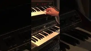 Magic Fly - Space (Cover by Munatix) #synth #synthpop #minimoog