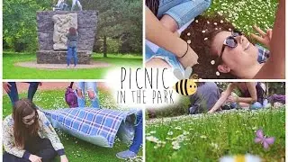 Picnics in the Park