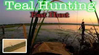 Teal hunting fast hunt #panchothings #duckhunting #gundogs #goldenretriever #fye #greatoutdoors