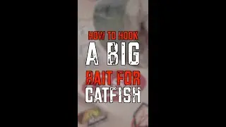 Hooking a big catch starts with the right hook!