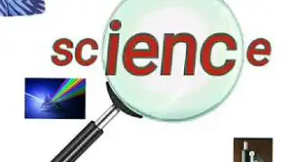 2019 o/l science past paper answers