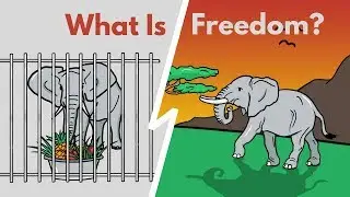 How To Be Free&nbsp;In An Unfree World? | THE FREEDOM VIDEO
