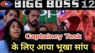 Big boss 12: Shoking Captaincy Task | Who will become Captain to this week