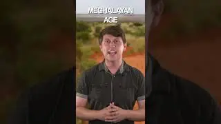 SERIOUSLY, What is an AGE? | Geologic Time Pt. 5 | Beginners Guide to Palaeontology