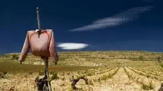 Ninot .- Hombre de paja